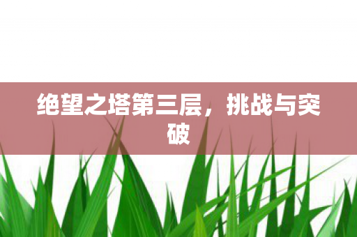 绝望之塔第三层图片