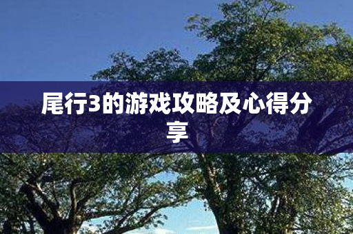 尾行3的游戏攻略及心得分享图片