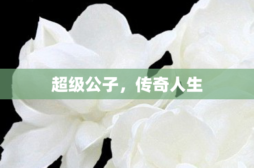 超级公子图片