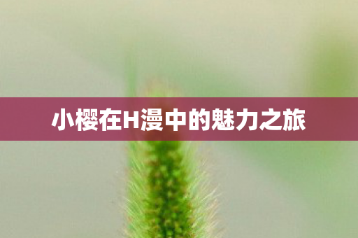 小樱在H漫中的魅力之旅图片