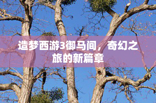 造梦西游3御马间图片