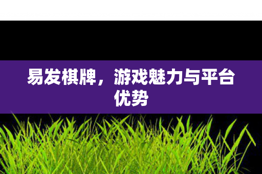 游戏魅力与平台优势图片