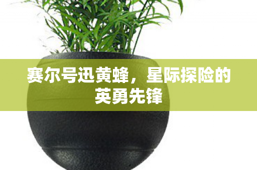 星际探险的英勇先锋图片