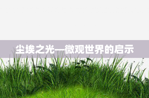 微观世界的启示图片