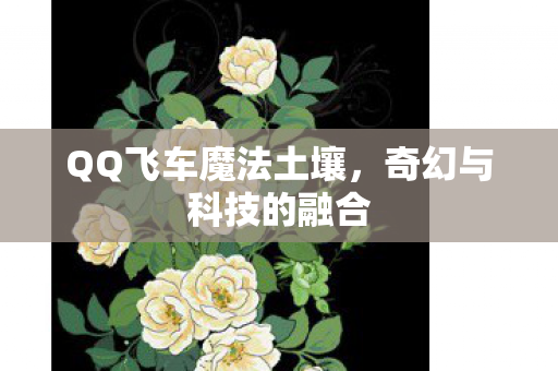 QQ飞车魔法土壤图片
