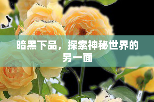 探索神秘世界的另一面图片