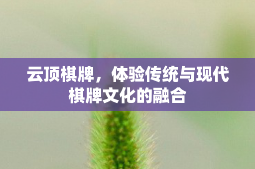 体验传统与现代棋牌文化的融合图片