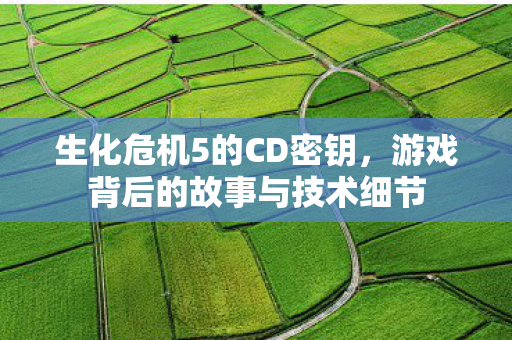 游戏背后的故事与技术细节图片