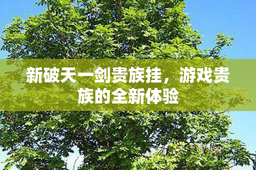 游戏贵族的全新体验图片