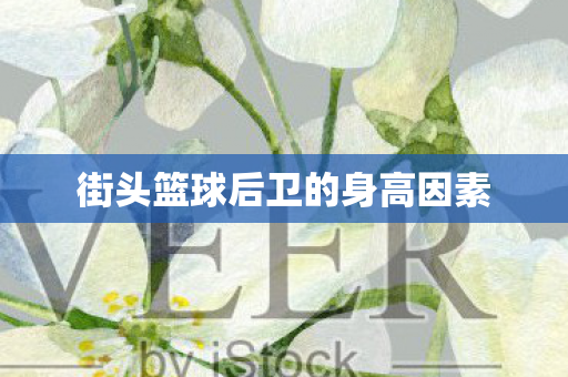 街头篮球后卫的身高因素图片
