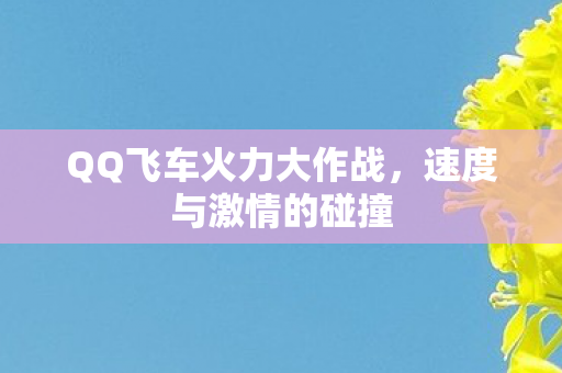 QQ飞车火力大作战图片