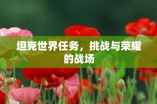 挑战与荣耀的战场图片