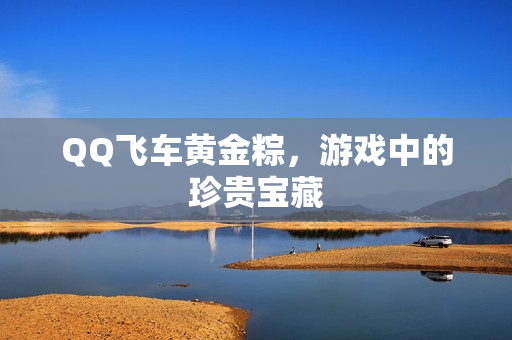 游戏中的珍贵宝藏图片