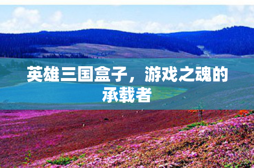 游戏之魂的承载者图片