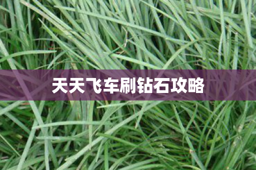 天天飞车刷钻石攻略图片