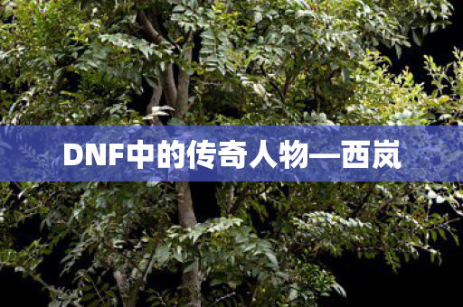 DNF中的传奇人物图片