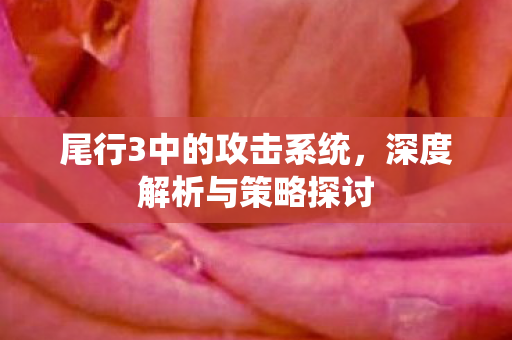 尾行3中的攻击系统图片