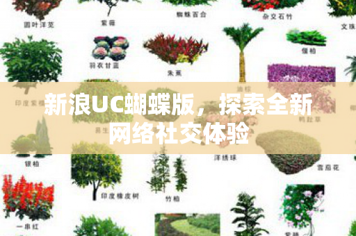 探索全新网络社交体验图片