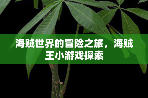 海贼世界的冒险之旅图片