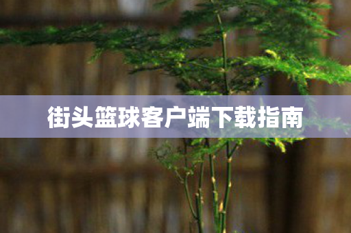 街头篮球客户端下载指南图片