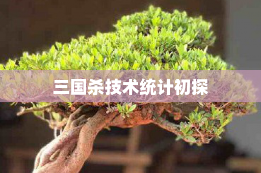 三国杀技术统计初探图片