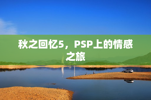 PSP上的情感之旅图片