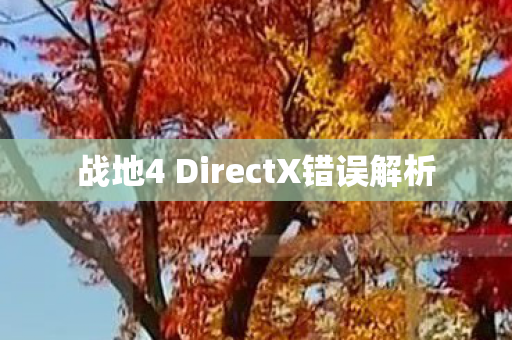战地4 DirectX错误解析图片