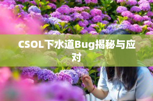 CSOL下水道Bug揭秘与应对图片