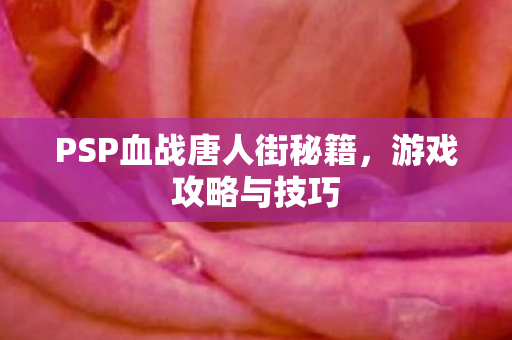 PSP血战唐人街秘籍图片