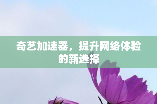 提升网络体验的新选择图片