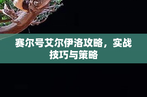 赛尔号艾尔伊洛攻略图片