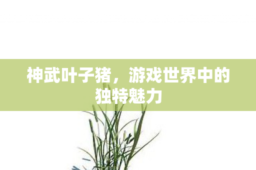游戏世界中的独特魅力图片