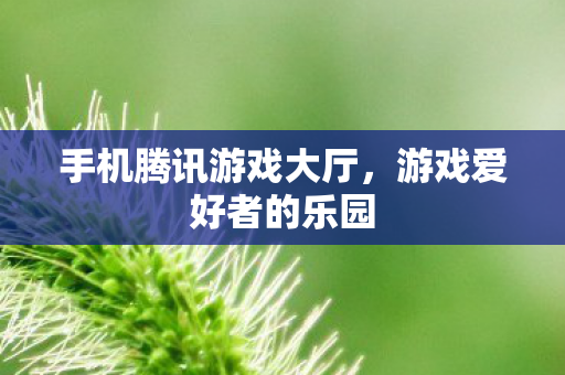 手机腾讯游戏大厅图片