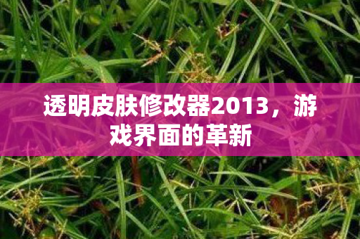 透明皮肤修改器2013图片