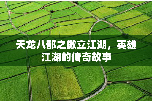 天龙八部之傲立江湖图片