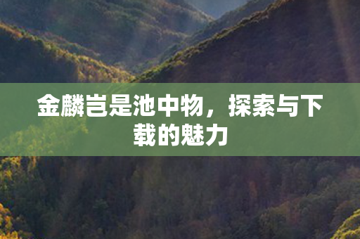 探索与下载的魅力图片