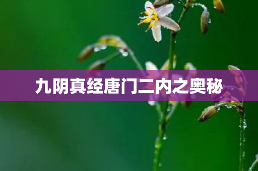九阴真经唐门二内之奥秘图片