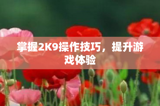 掌握2K9操作技巧图片