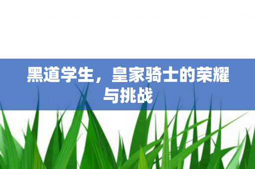 皇家骑士的荣耀与挑战图片