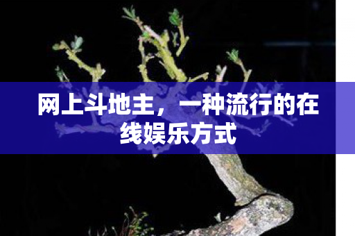 一种流行的在线娱乐方式图片