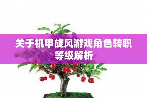 关于机甲旋风游戏角色转职等级解析图片