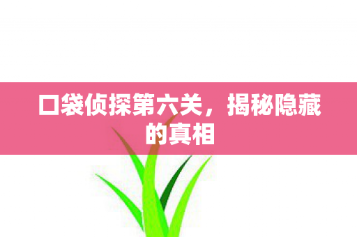 口袋侦探第六关图片