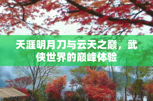 天涯明月刀与云天之巅图片
