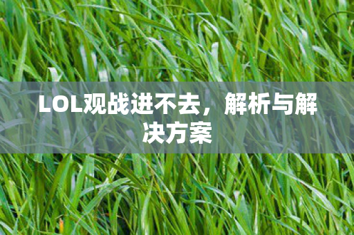 LOL观战进不去图片
