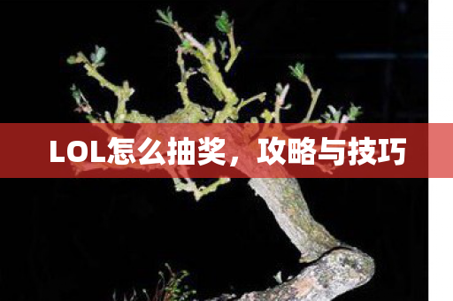 LOL怎么抽奖图片