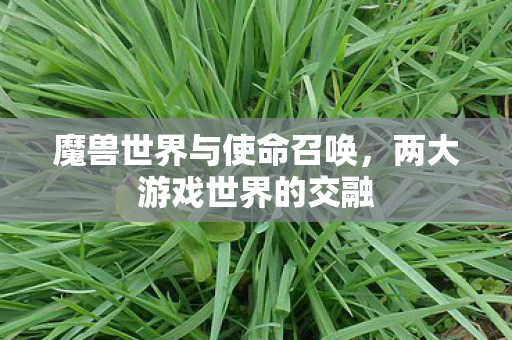 魔兽世界与使命召唤图片