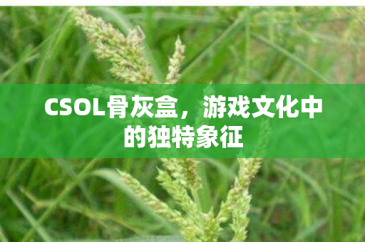 游戏文化中的独特象征图片