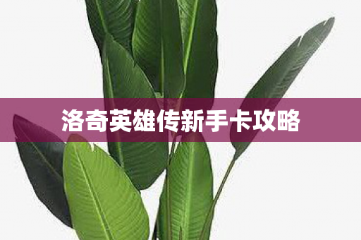 洛奇英雄传新手卡攻略图片
