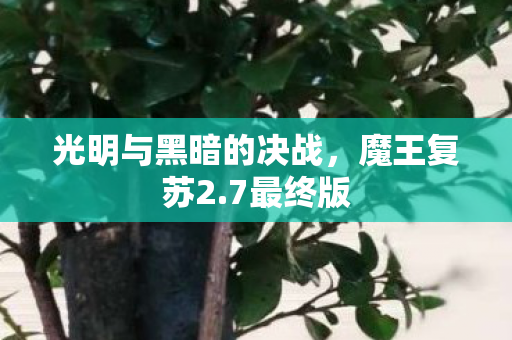 光明与黑暗的决战图片