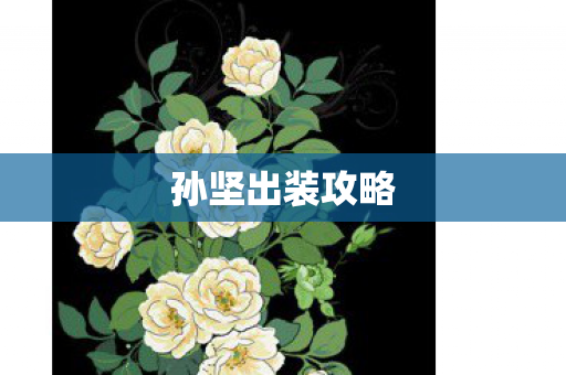 孙坚出装攻略图片